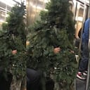 Hombre disfrazado de árbol de Navidad