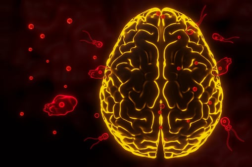 La mortalidad de este microbio es de más del 90% en Estados Unidos.