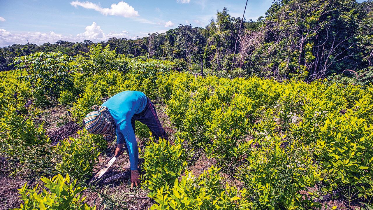Exembajador responde