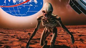 La Nasa posiblemente mató prueba de vida extraterrestre por error.