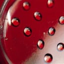 Las cepas resistentes son muy difíciles de tratar con los antibióticos disponibles.