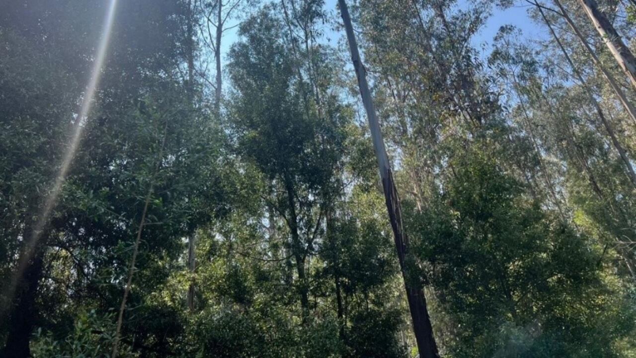 Hay momentos en los que no se trata de hacer más, sino de aceptar, soltar y esperar que todo encontrará su lugar.