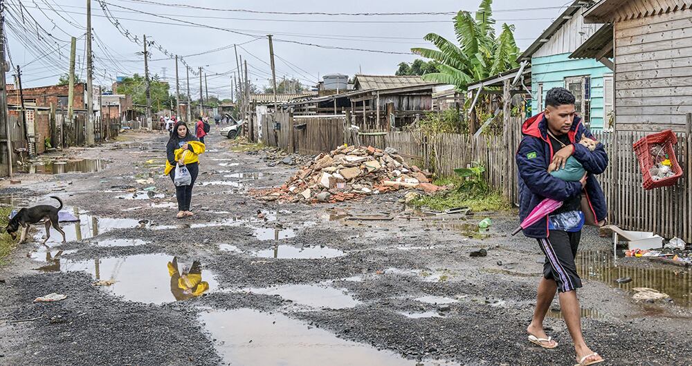 Animales como perros y gatos han sido los más afectados. 