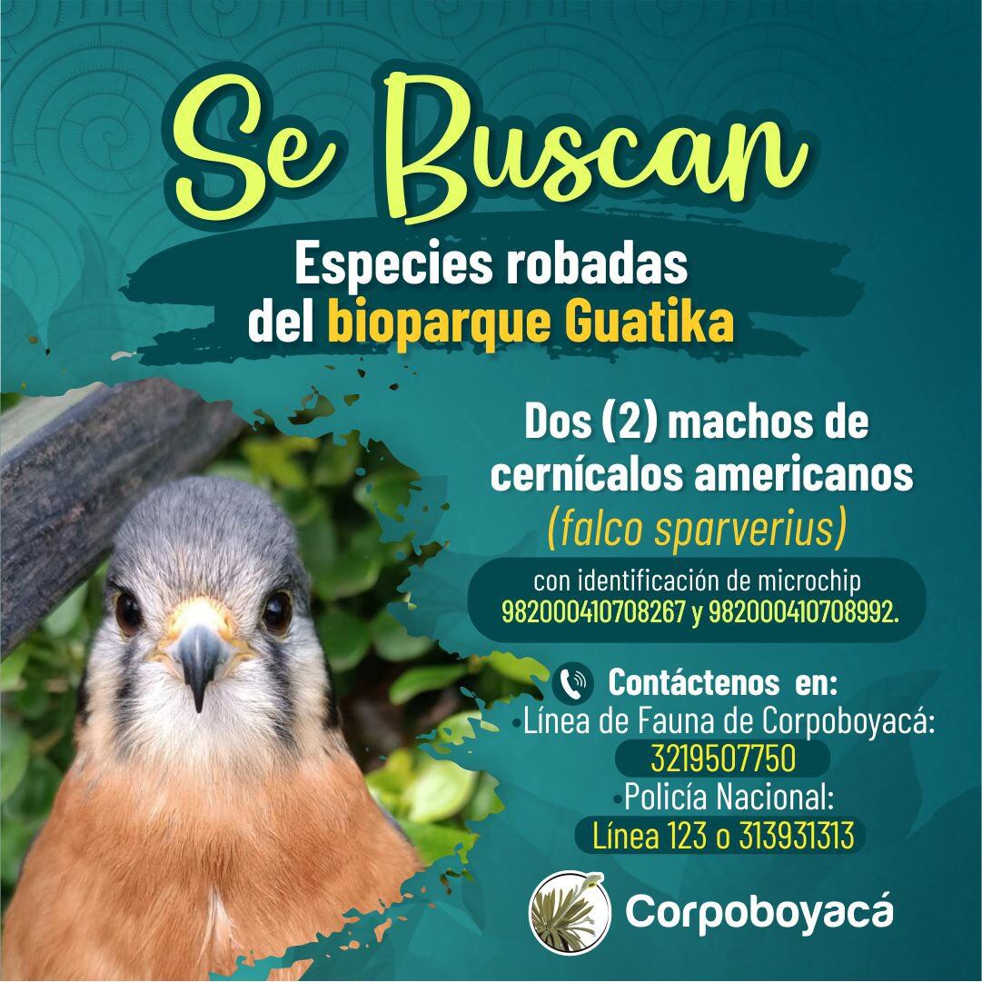 "Esto es delincuencia organizada, porque pasaron justo cuando los celadores estaban haciendo la ronda de seguridad en el parque, por suerte, no se presentó un altercado con los guardas mientras el robo", aseguró Ricaurte.
