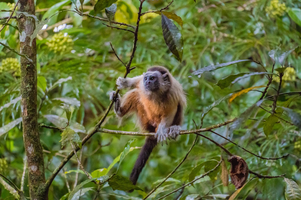 Fauna y flora en San Rafael
