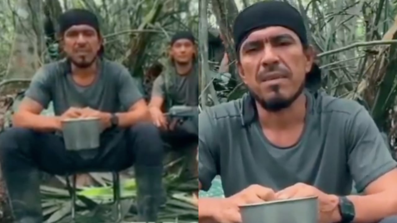 Javier Alfonso Velosa, alias Mechas.