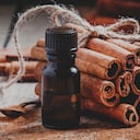 Descubra cómo el aceite de canela se erige como un aliado aromático en la defensa contra estos insectos molestos.