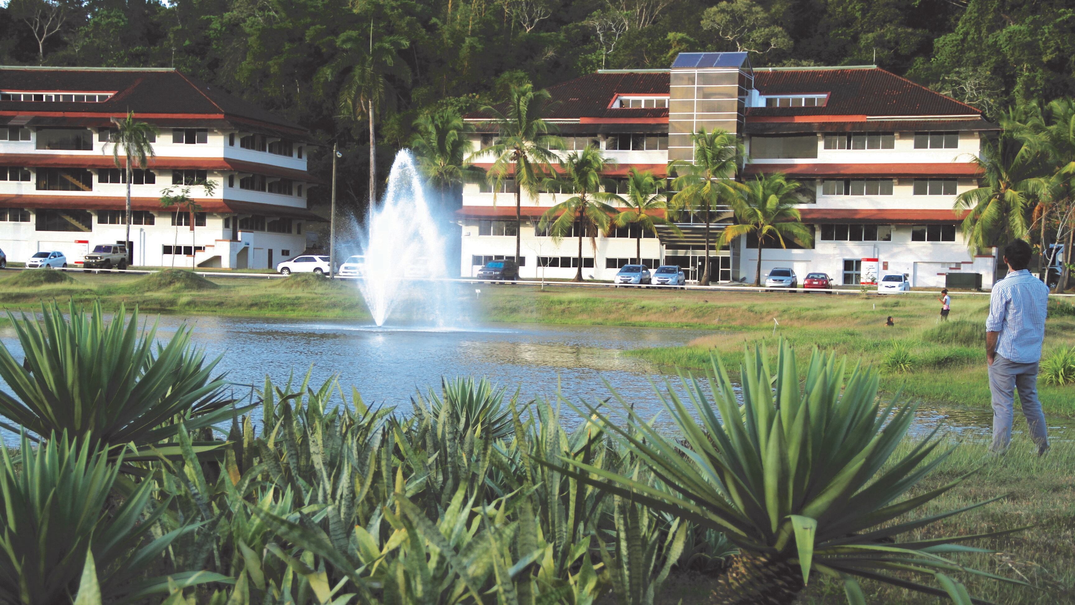 NO USAR USO EXCLUSIVO MEJOR COLOMBIA,, fundación del saber