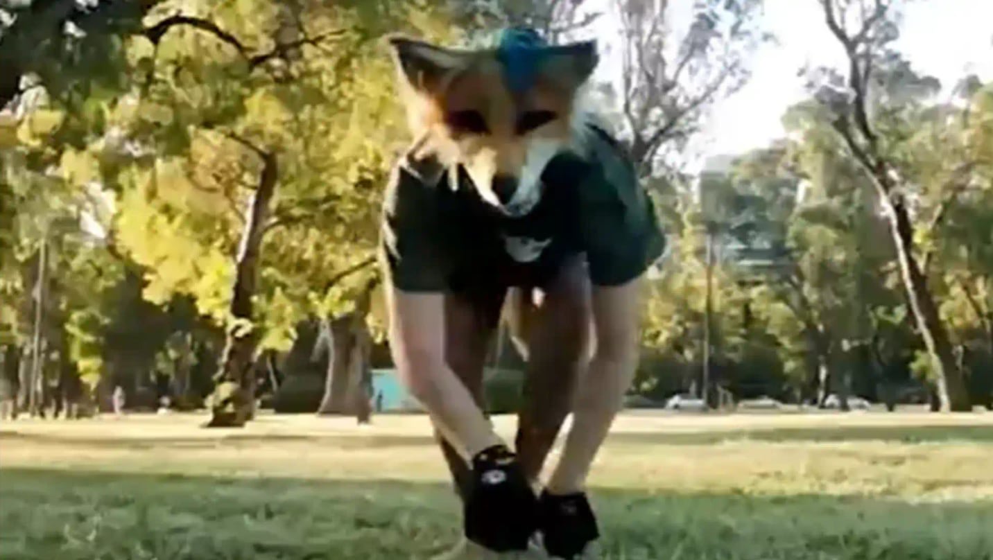 La idea de comunidad aparece como un elemento clave en la forma de vida que describe.