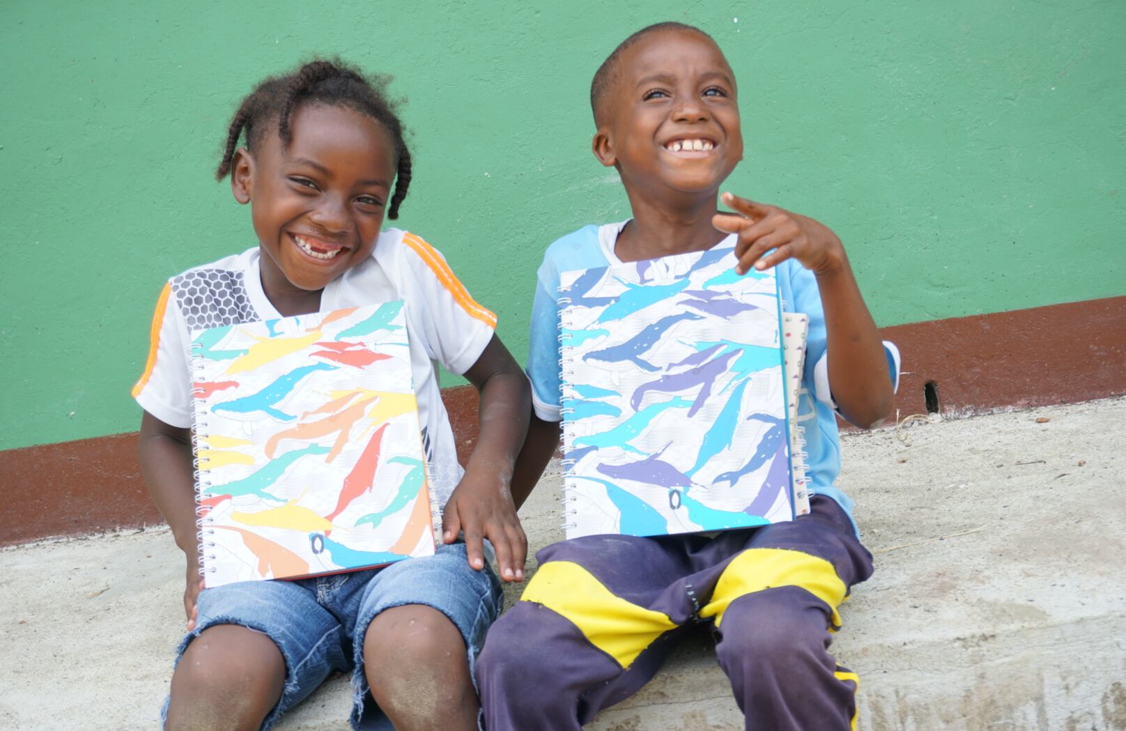 Colección Tribugá es el proyecto de cuadernos con el que Educambio espera entregar 14 bibliotecas en el Pacífico colombiano.