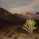Estas condiciones climáticas son muy peligrosas para los bomberos que enfrentan el incendio.