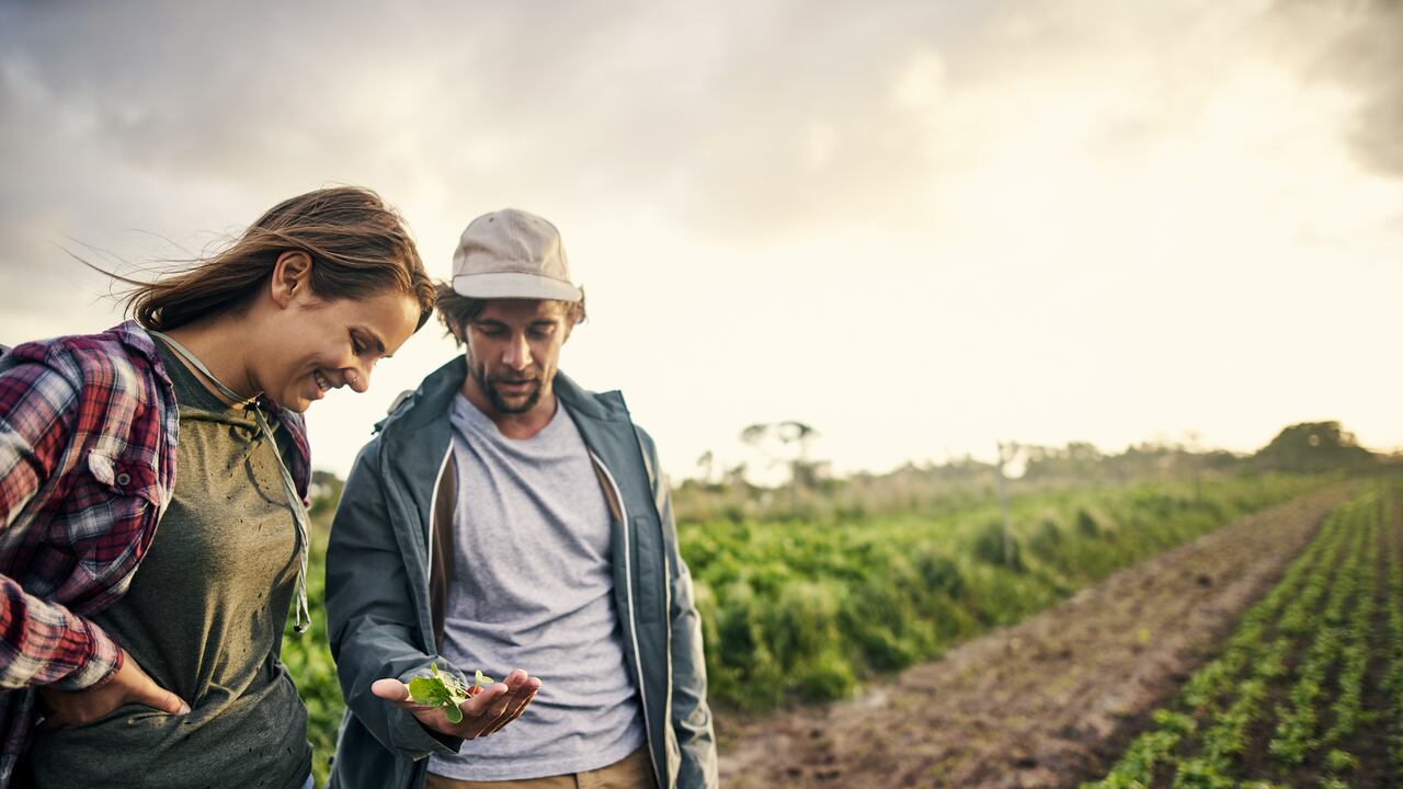 Nutrición sostenible