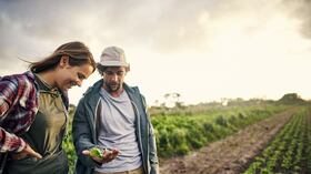 Nutrición sostenible