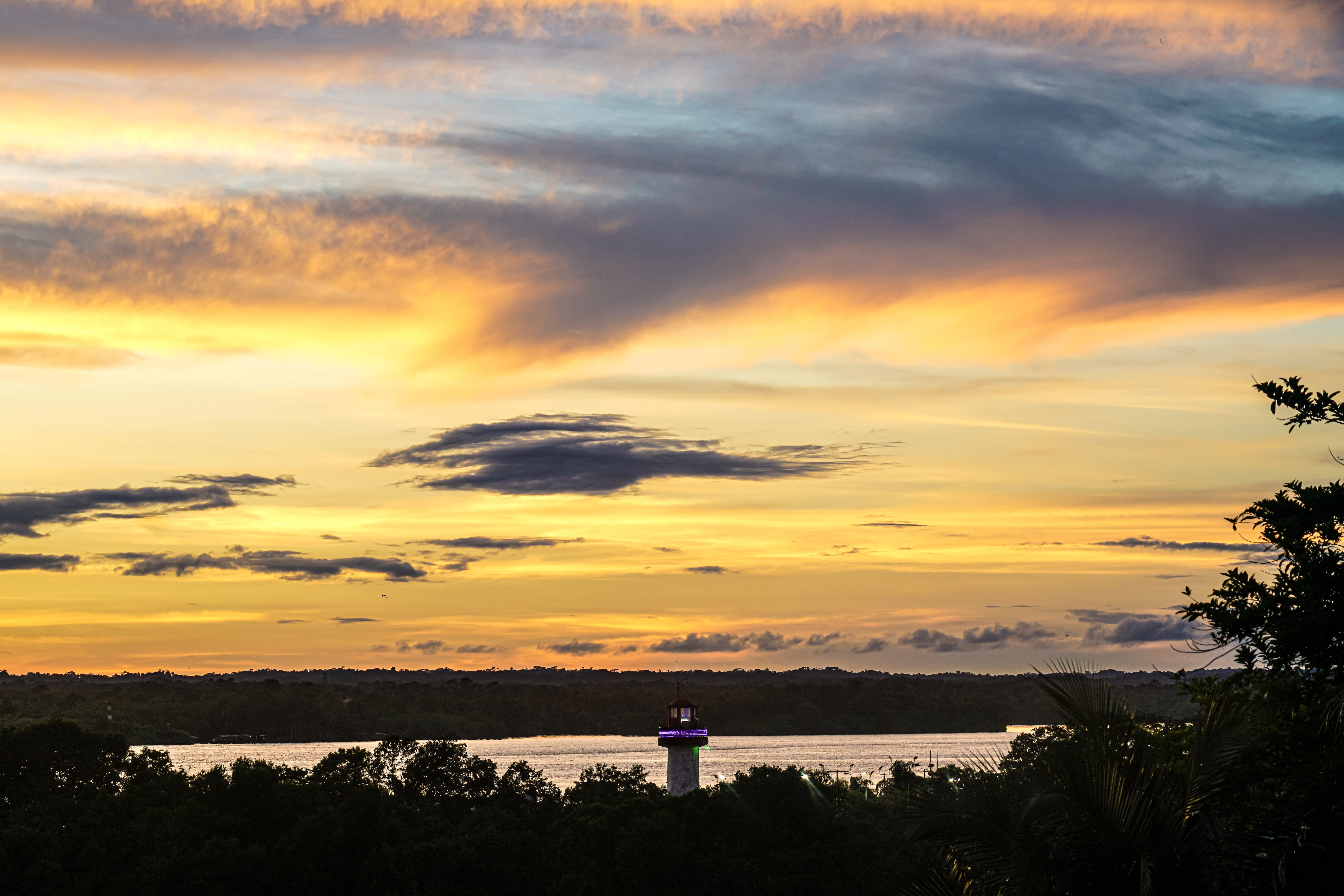El pacífico colombiano, con sus paisajes de selva húmeda, sus playas, su gastronomía y su biodiversidad, son el sitio turístico, cultural y gastronómico, que atrae a miles de visitantes cada año.