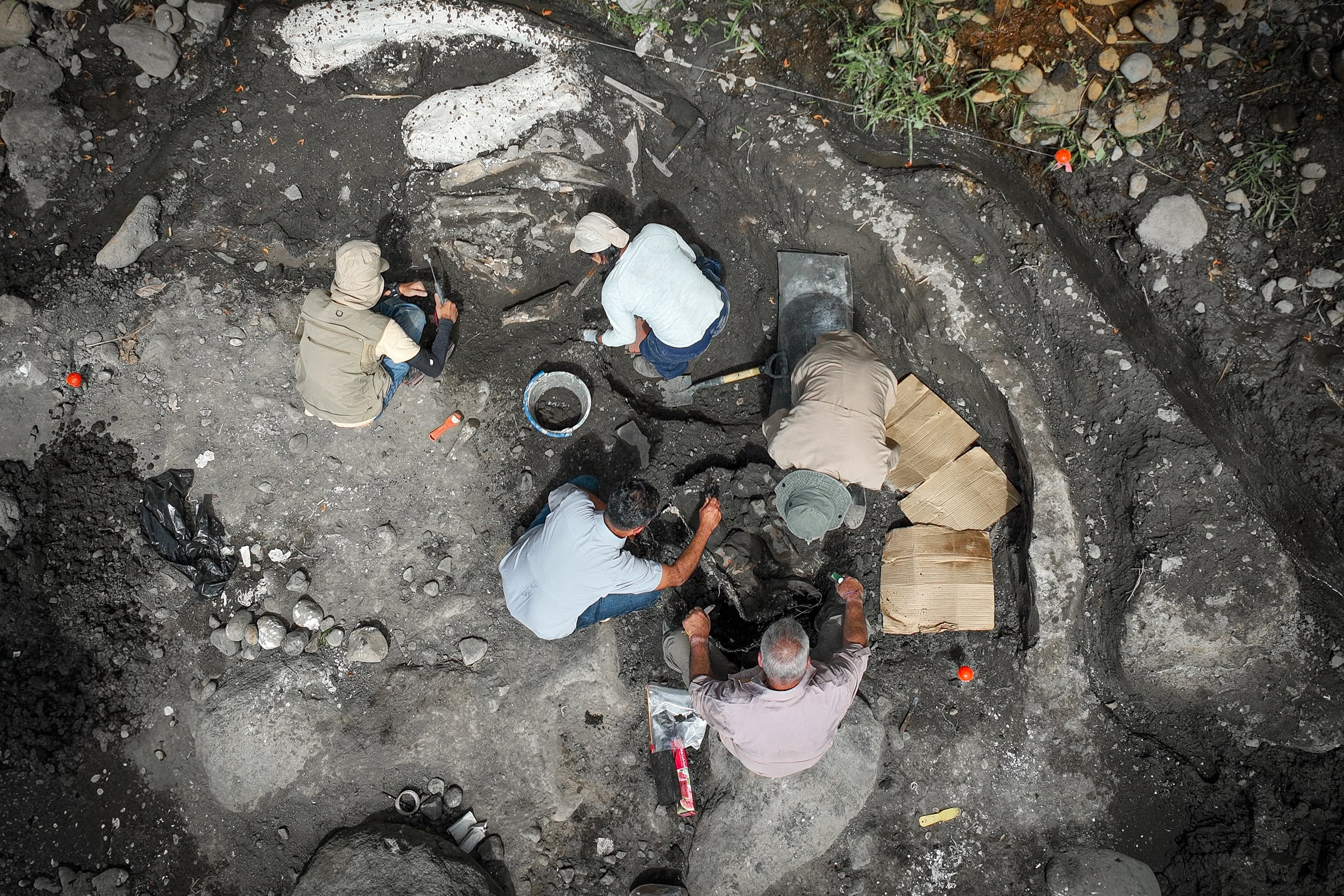Una alerta ciudadana dio paso a uno de los descubrimientos científicos más relevantes en décadas.