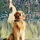 Killer es de raza golden retriever, tiene 7 años y es una de las joyas más preciadas del Ejército Nacional. Su nombre es sinónimo de respeto en el mundo criminal.