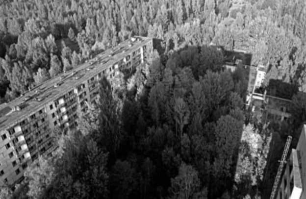 Foto: Jerzy Wierzbicki