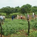 El tema de la tierra es el primer punto en la agenda del proceso de paz.