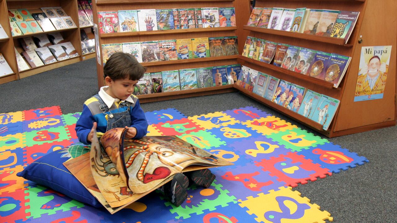 Los textos de interés general también juegan un papel esencial en la formación académica, por eso cada año las principales editoriales diseñan un plan lector para reforzar habilidades como la comprensión lectora.