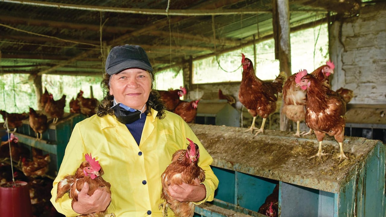 Más de un millón de productores se han beneficiado con los créditos del Banco Agrario de Colombia.