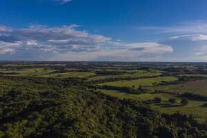 A través de los bancos de hábitat, las empresas pueden compensar sus afectaciones al medioambiente.