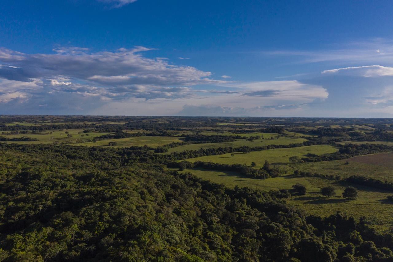 Bancos de hábitat (USO UNICO)