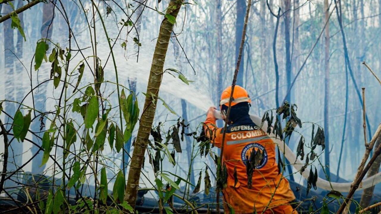 Gran incendio forestal en Sucre