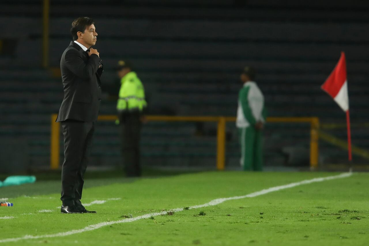 MARCELO GALLARDO