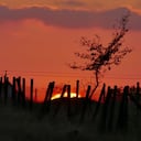 El sol poniente proyecta sus rayos durante el eclipse solar visto en Odesa, sur de Ucrania. (El crédito de la foto debe ser Yulii Zozulia / Ukrinform/Future Publishing vía Getty Images)