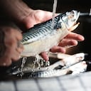 En medio de la celebración de Semana Santa en Colombia, el consumo de pescado aumenta y las cifras de intoxicados crecen a la par.