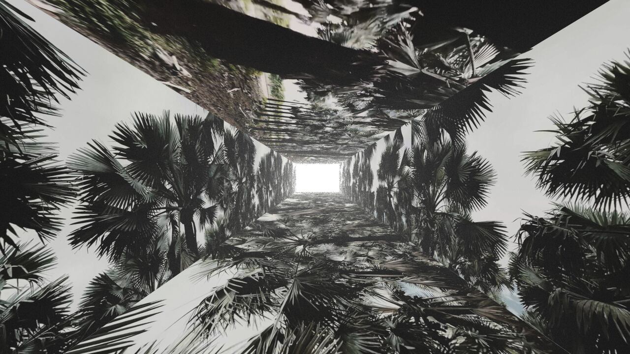 Imagen de la videoinstalación de Jessica Mitrani "Soñé que el paisaje me miraba". Cortesía del MAMBO