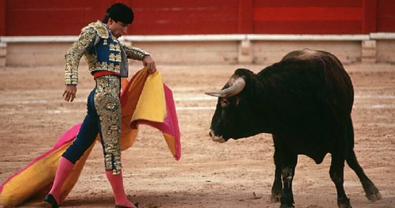 Los toros despiertan una pasión para muchos bogotanos, tanto para los amantes de las corridas como también para los animalistas. Su pasión también se ve reflejada en el dinero que le invierten a estos animales.