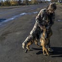 Un soldado ucraniano sostiene a su perro en la aldea de Arkhanhelske, en la región de Kherson, el 3 de noviembre de 2022, que anteriormente estaba ocupada por las fuerzas rusas. (Foto de BULENT KILIC / AFP)