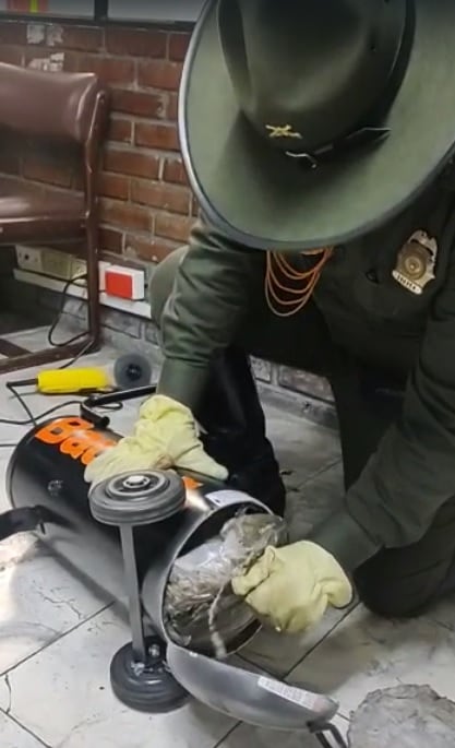 Tino, el perro que descubrió importante cargamento de marihuana dentro de un compresor cilíndrico en Cali.