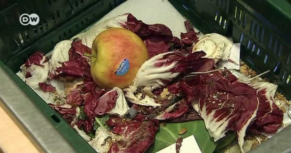 En el mundo se desperdicia al menos 17 % de lo que los consumidores compran. 