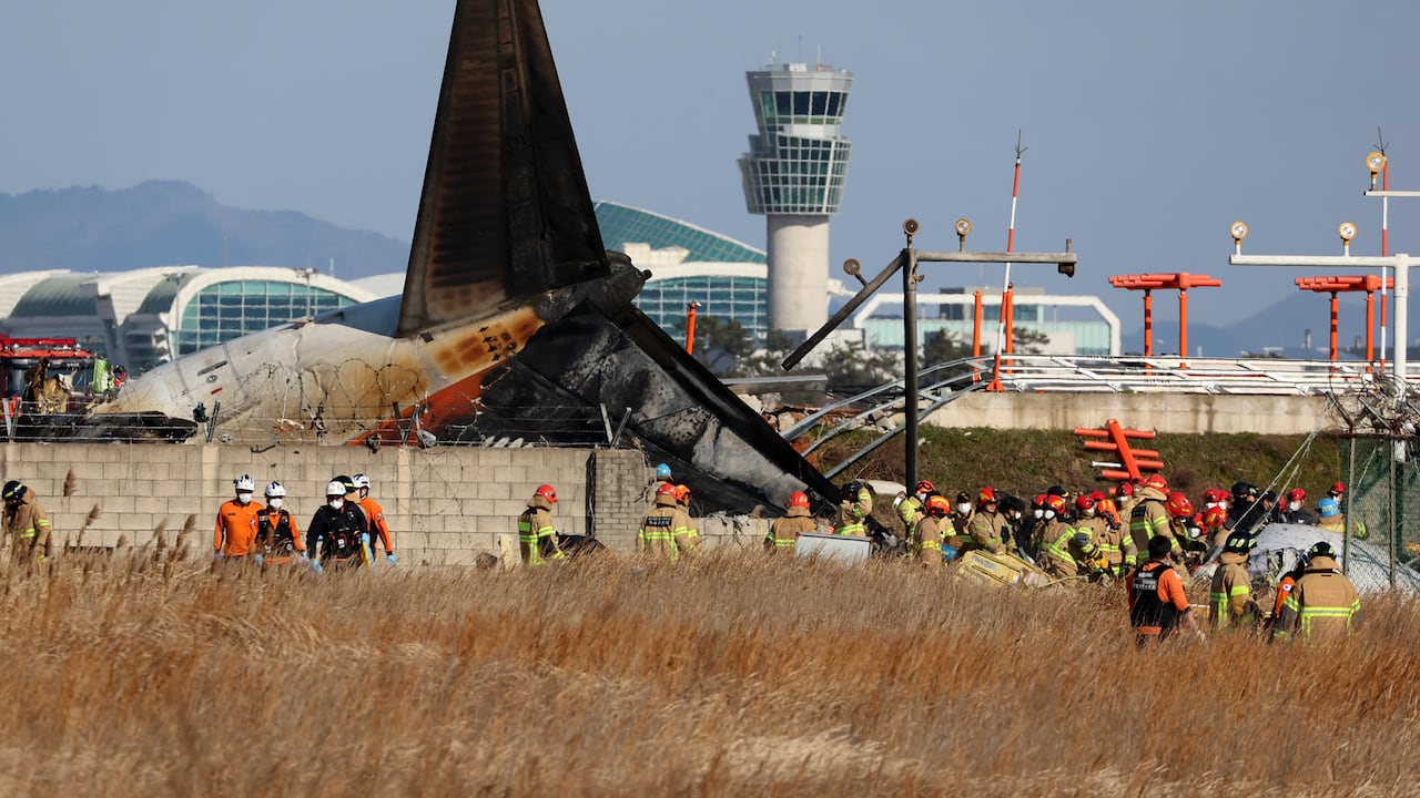 El Ministerio de Territorios surcoreano indicó que la torre de control advirtió a la tripulación que se había producido una colisión con pájaros. El piloto emitió un mensaje de alerta (“Mayday”), poco antes de que el aparato se estrellara al aterrizar.