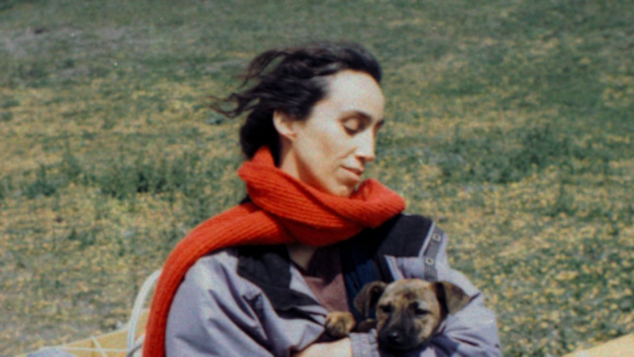 Yuri, la perrita rescatada que ganó un premio en el Festival Cannes 2026.