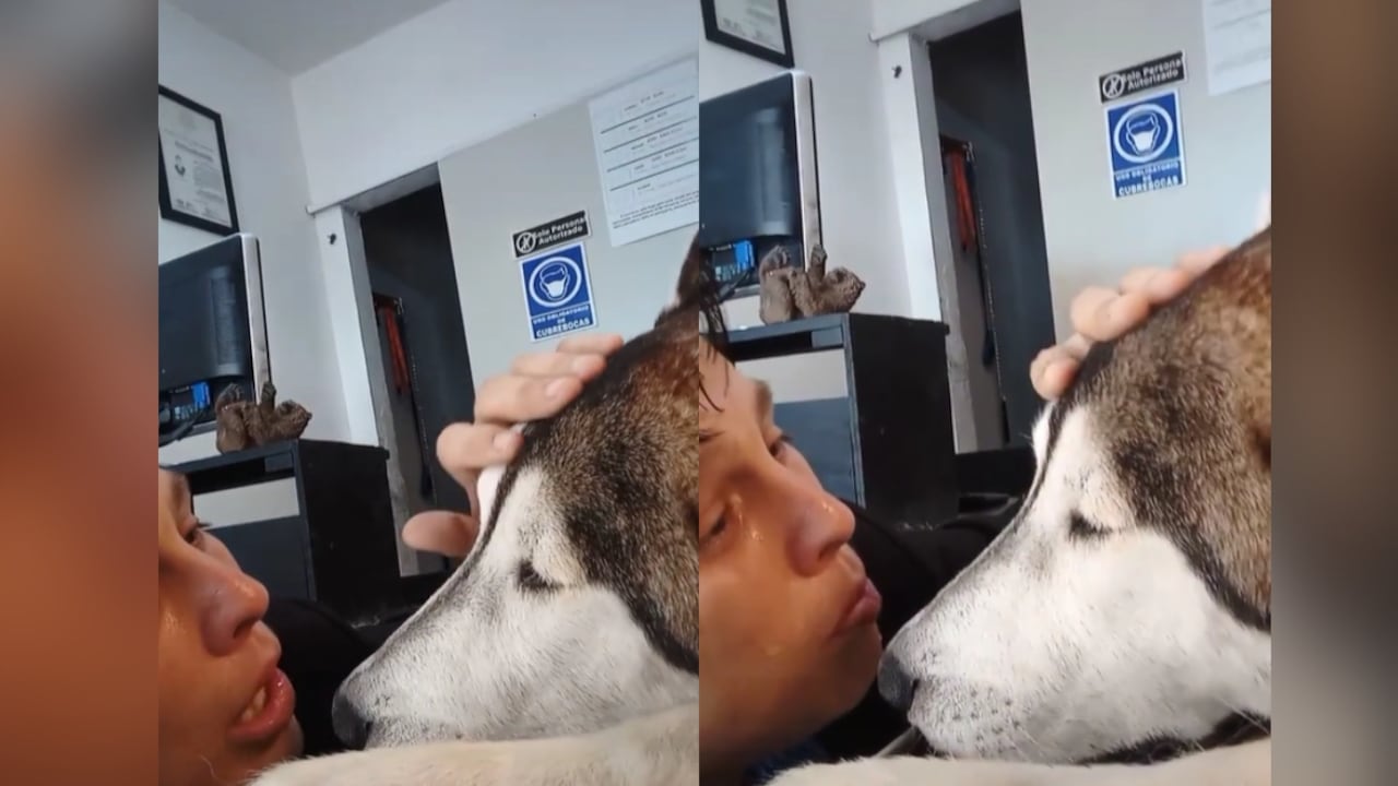 Los usuarios recalcaron que sentían el dolor de Rodríguez, y le enviaron mensajes de apoyo.