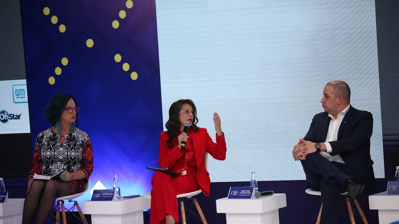 Luz Stella Murgas, presidenta de Naturgas, hizo un llamado al Gobierno sobre la importancia que tiene el gas en medio de la transición energética.