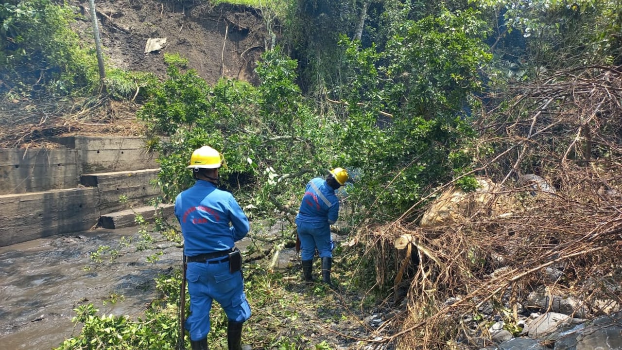Imagen de referencia, no corresponde al caso en mención.