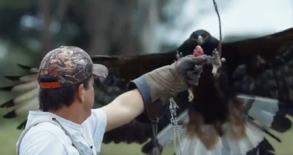 Fundación Águilas de los Andes