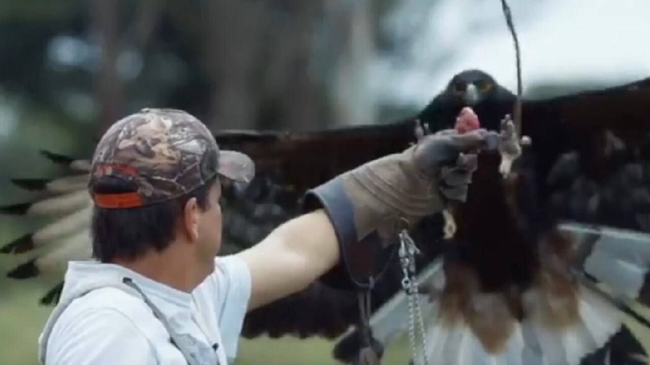 Fundación Águilas de los Andes