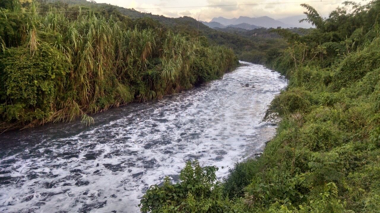 Contaminación de fuentes hídricas afecta a los cangrejos de agua dulce