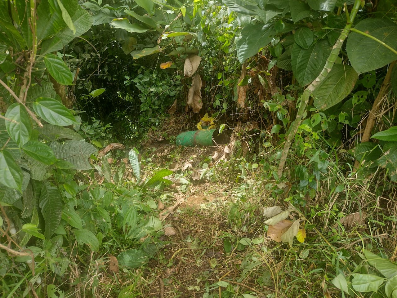 La operación militar se realizó en la vereda la Feliciana