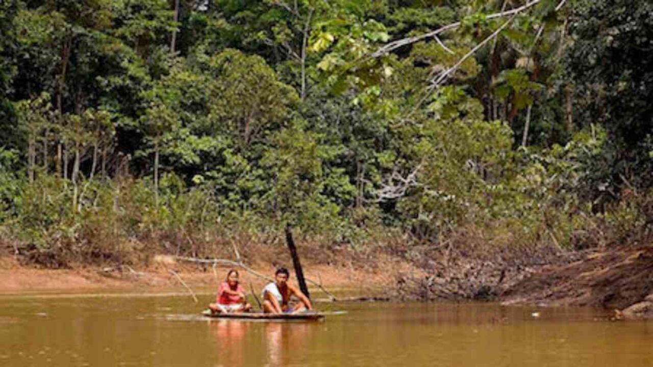 Indígenas y ambientalistas luchan por defender la reserva Yasuni de la extracción petrolera.