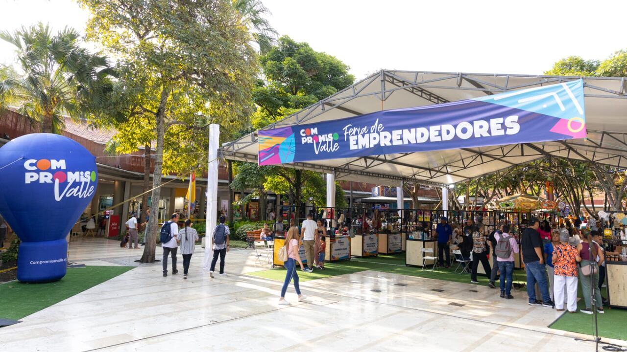 Compromiso Valle se enfoca en seis ejes; Seguridad Alimentaria, Educación, Emprendimiento, Empleabilidad, Liderazgo Sólido, Transformación de proyectos de vida, que han impactado a más de 77 mil participantes en 8 municipios. Foto: Cortesía Propacífico / El País.