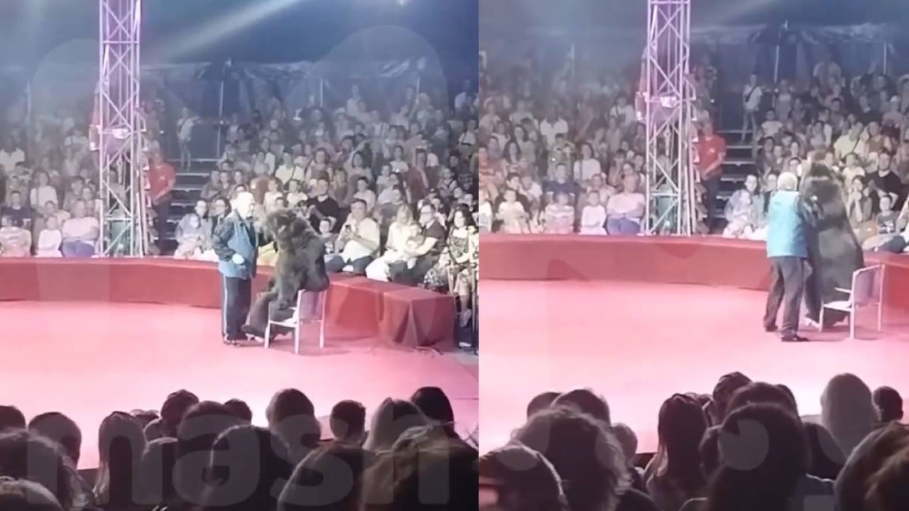 En el video se puede ver el ataque de la osa a su entrenador en pleno show