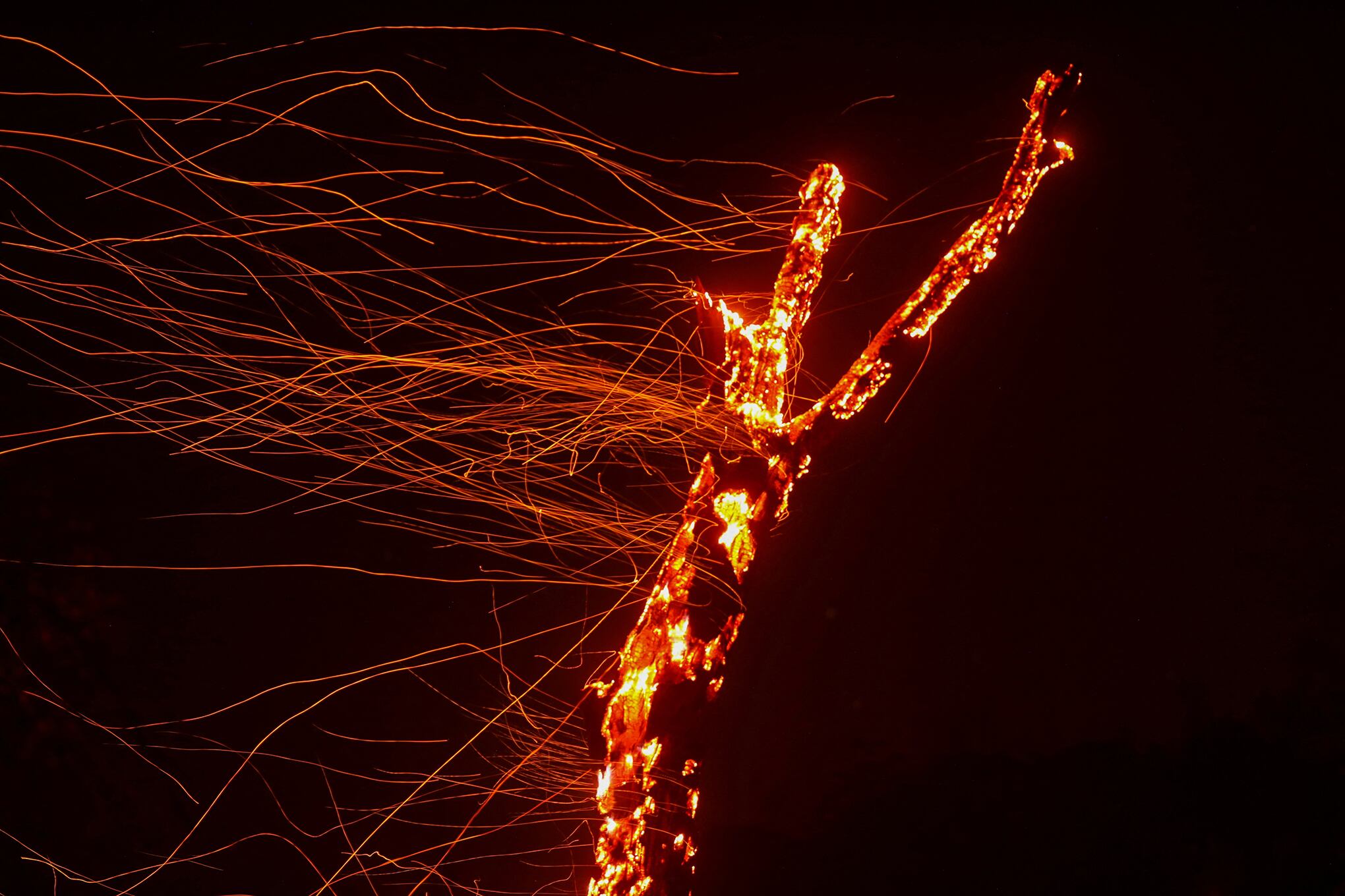En imágenes : Los bomberos luchan contra el incendio de Wishon en California