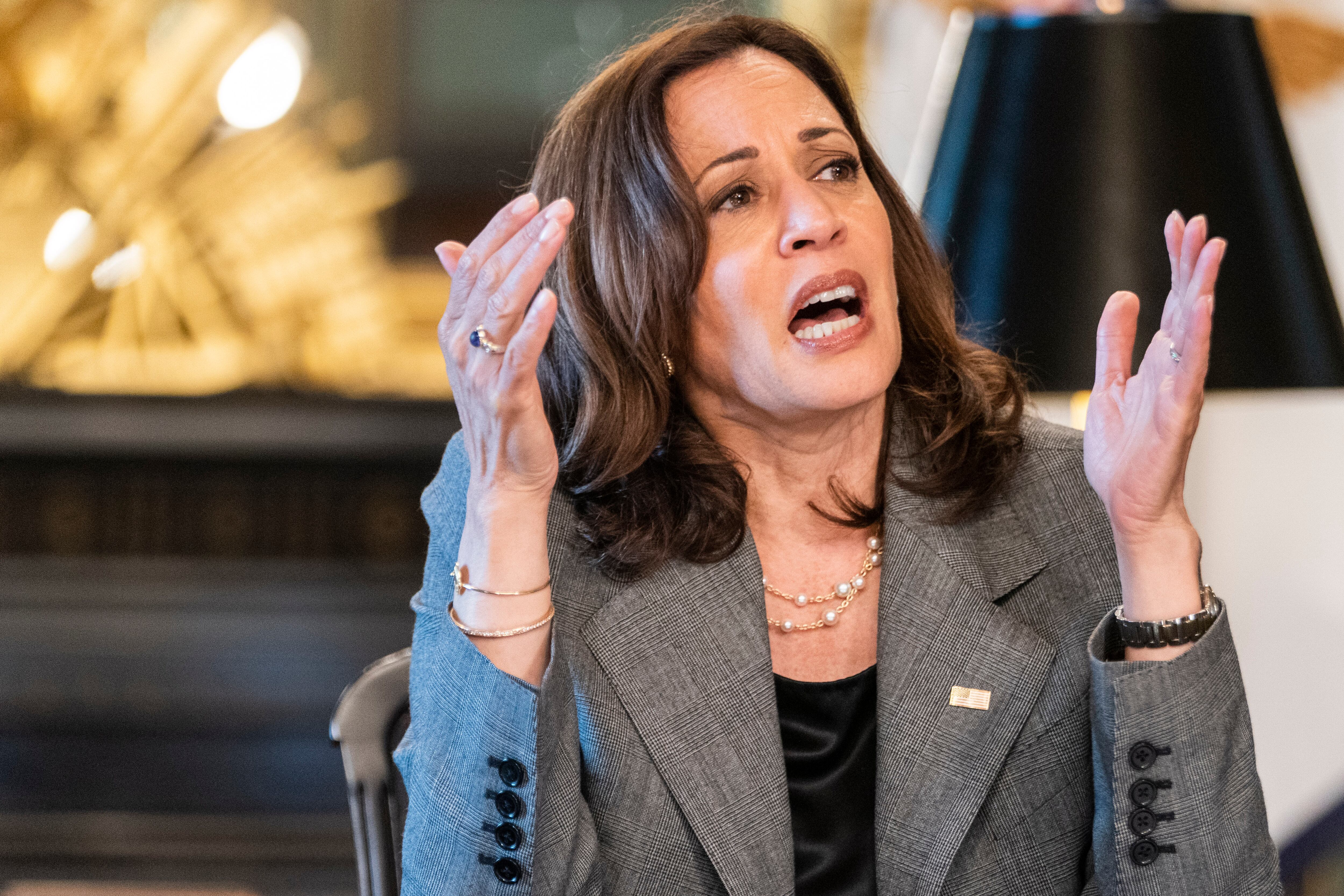 Dijo además que el matrimonio homosexual sería otro de "los principios que están en juego".