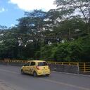 Actualmente hay 17 pasafaunas ubicados en vías principales del Meta.